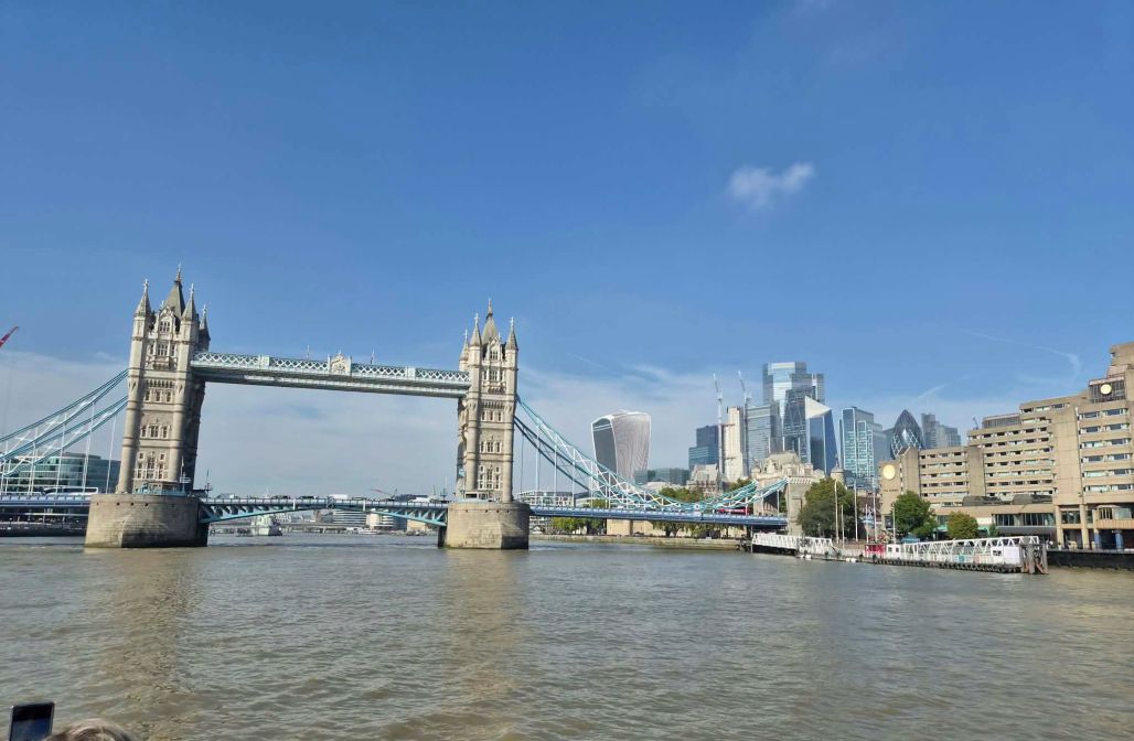 46